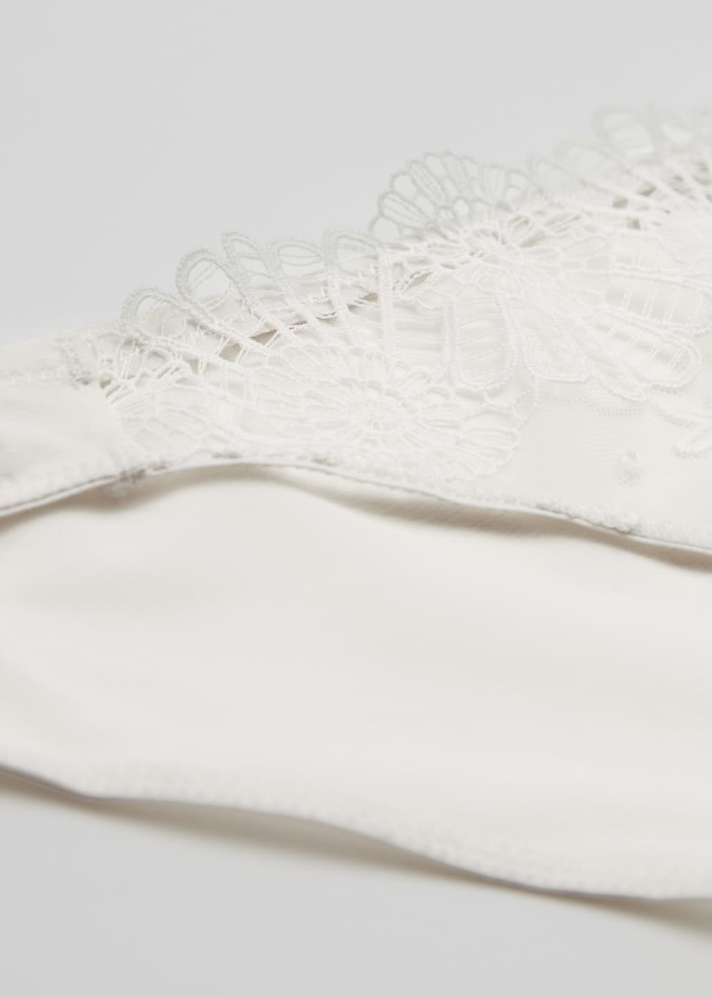 Seashell Embroidered Lace Briefs - {{variantName}} - Descriptive Detail