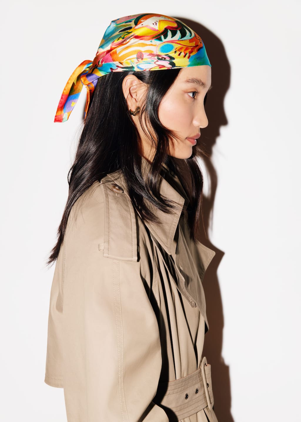 Image of Limited Edition Silk Scarf 
