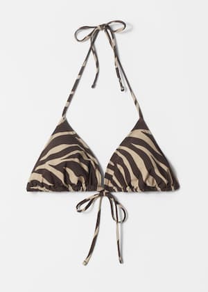 Brown Zebra