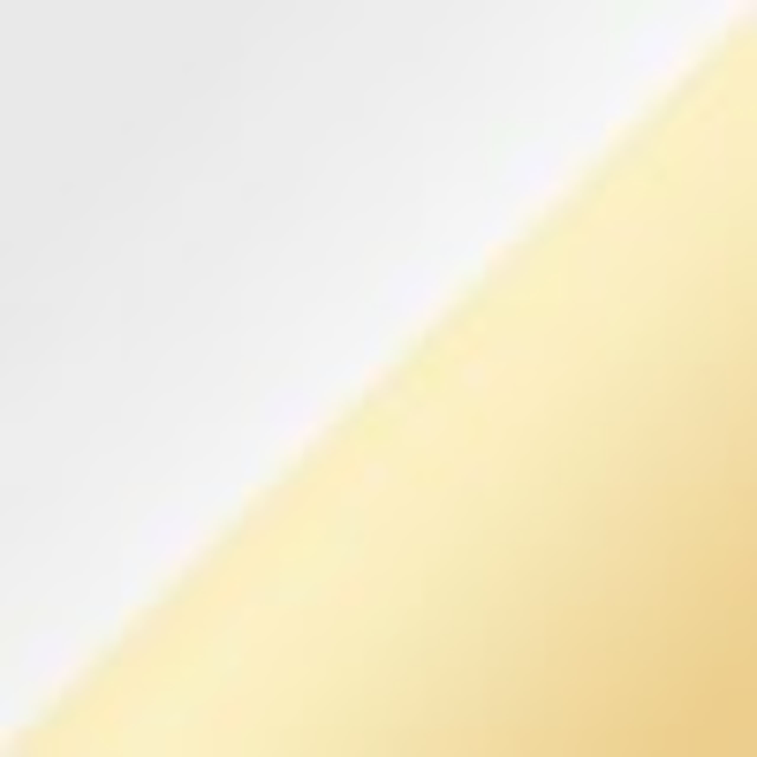 Image of Two-Toned Lariat Necklace