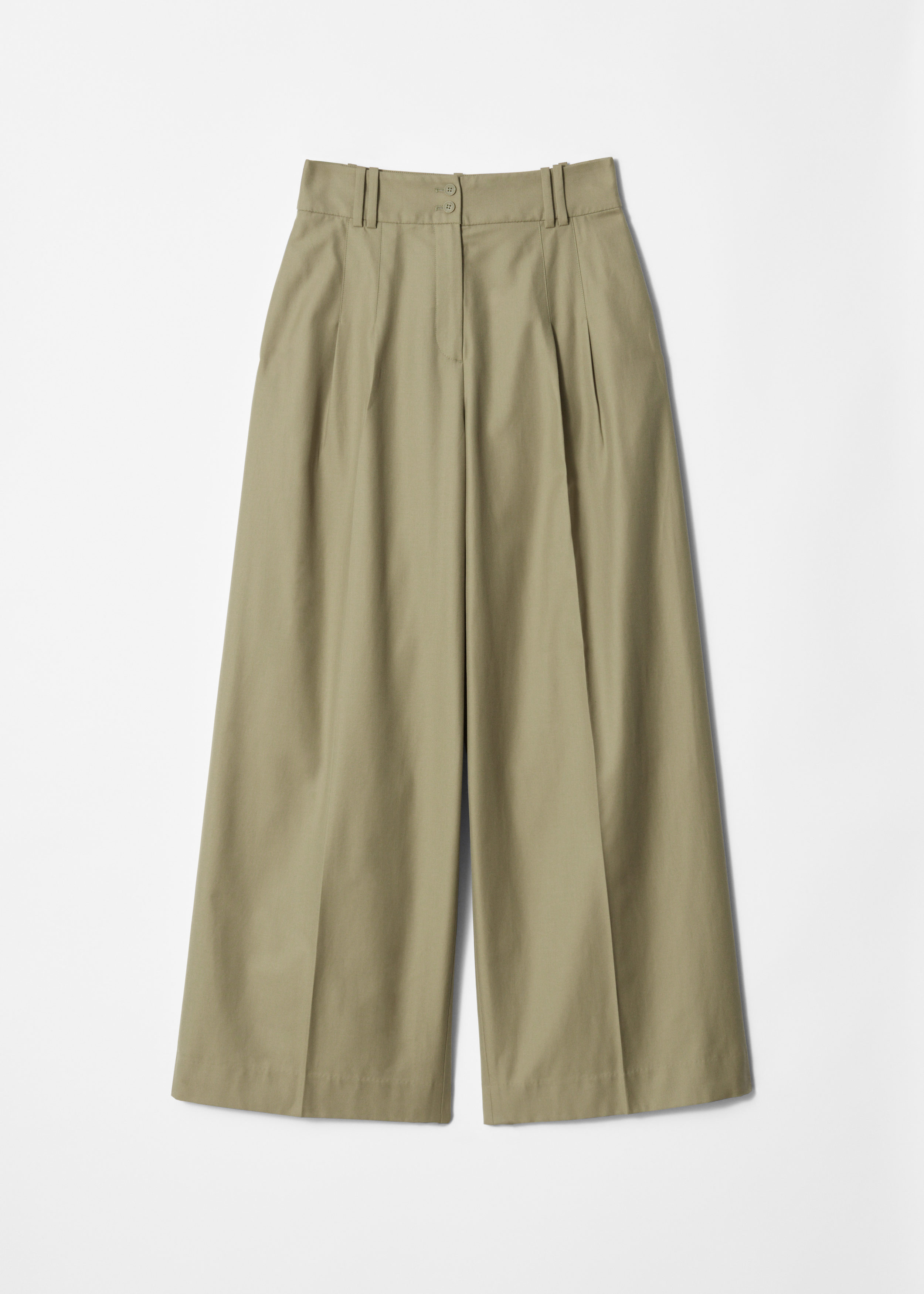 Pleated Trousers