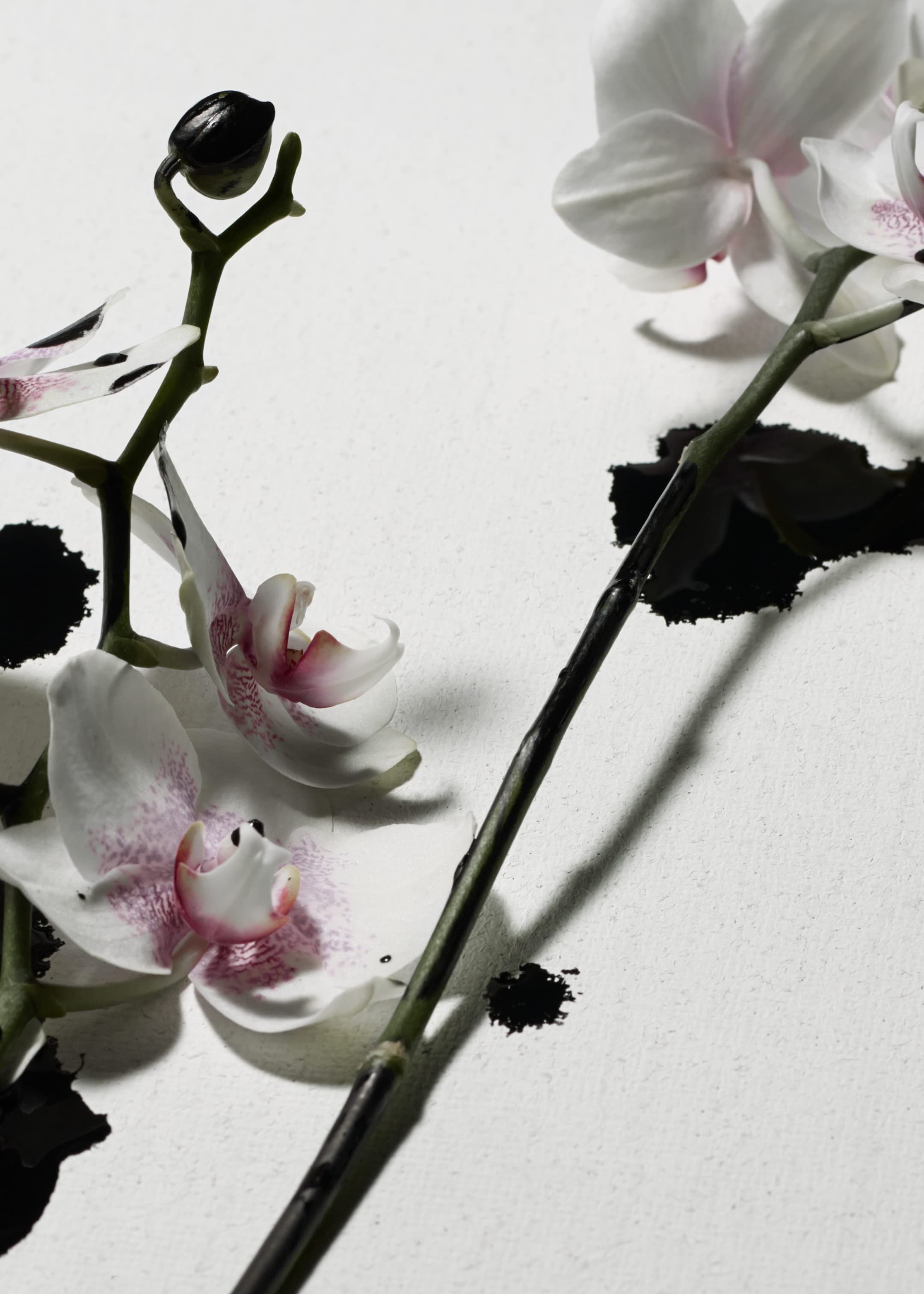 View larger image: Roll-on Perfume - Punk Bouquet - Beauty all | H&M GB 1