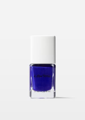 Blue Anemone