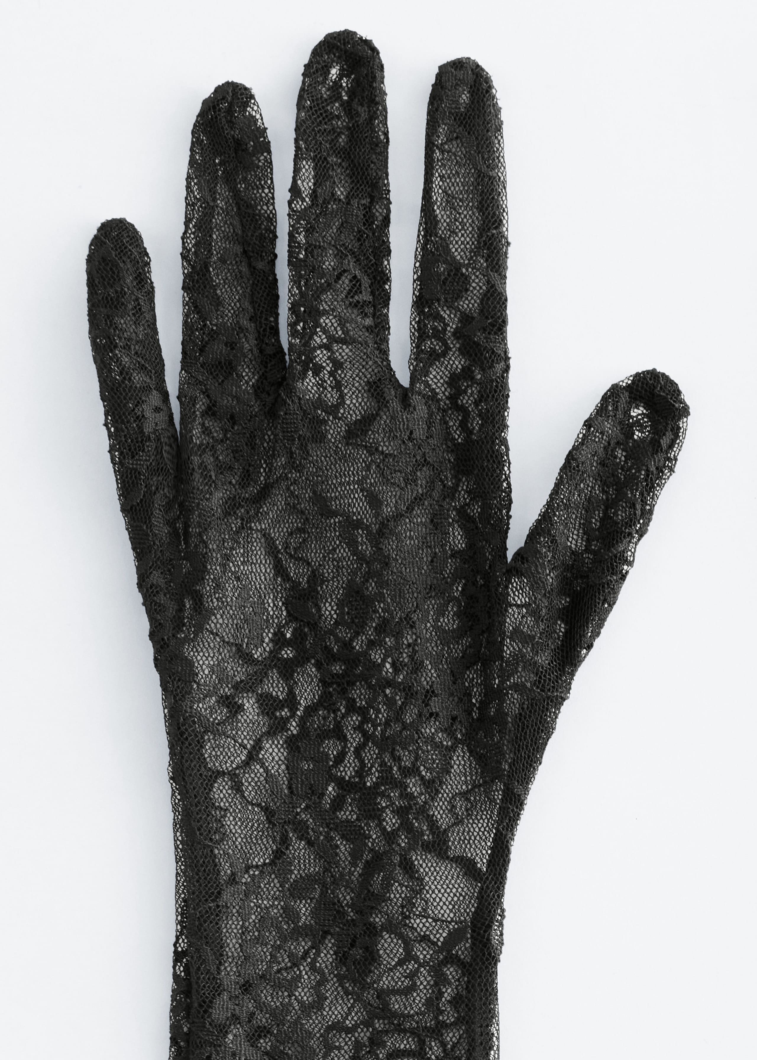 Image of Long Lace Gloves