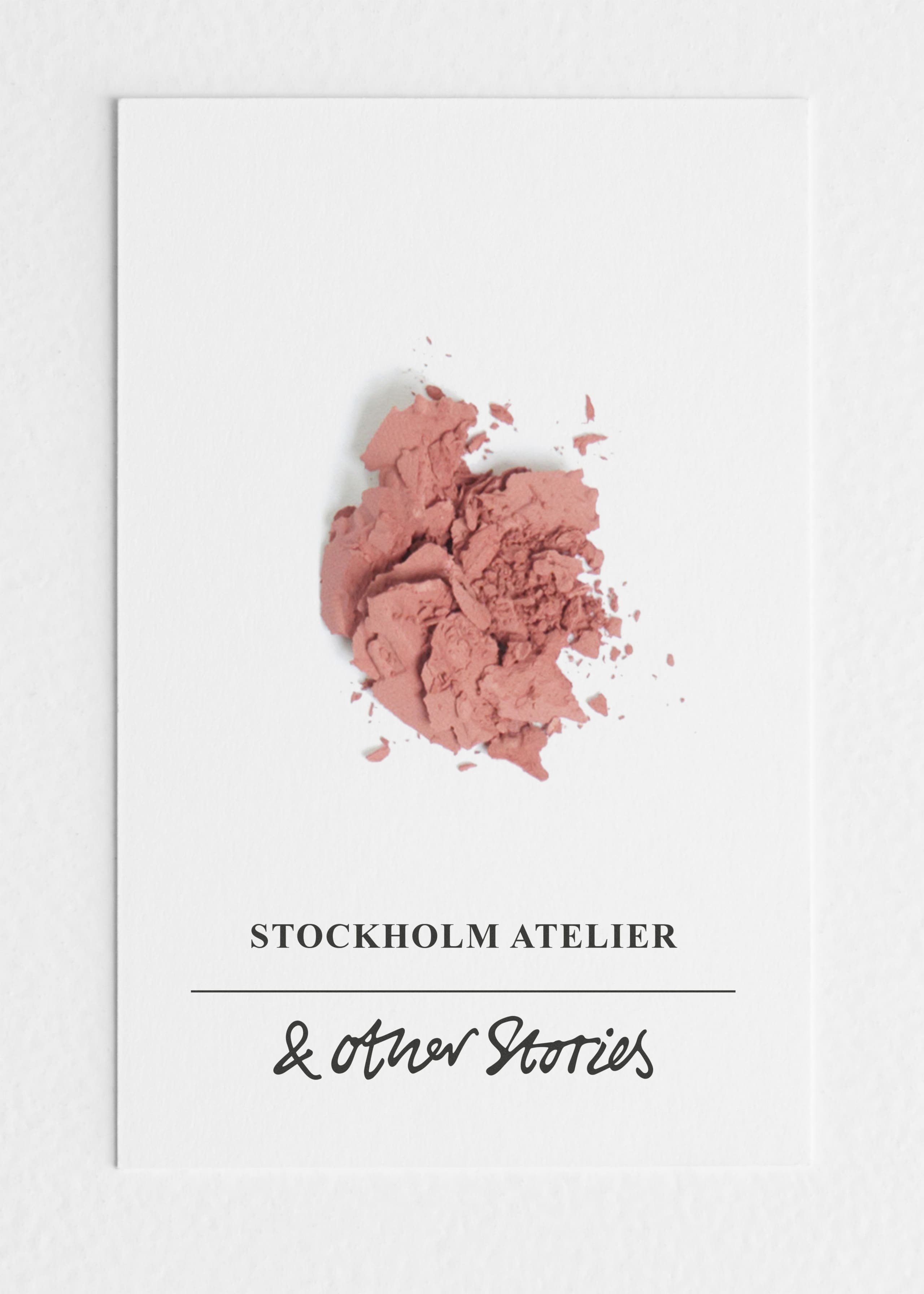 Róż w pudrze – Prairie Bold – Martwa natura