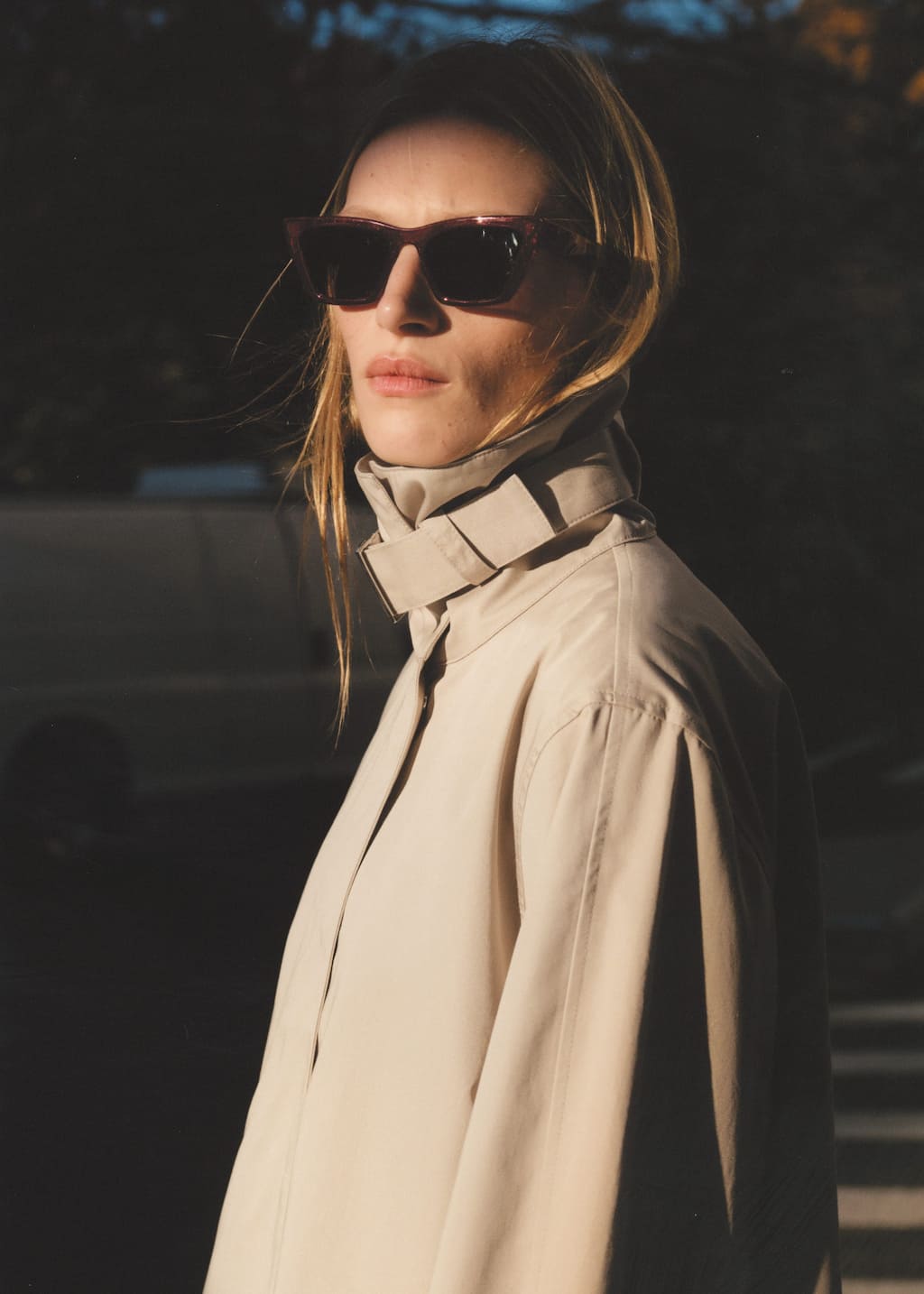 Image of AngularCatEyeSunglasses