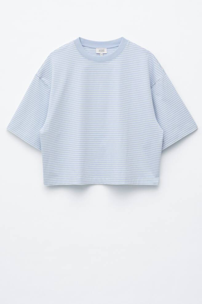Oversized Striped Cotton T-Shirt - Light Blue/White - 1