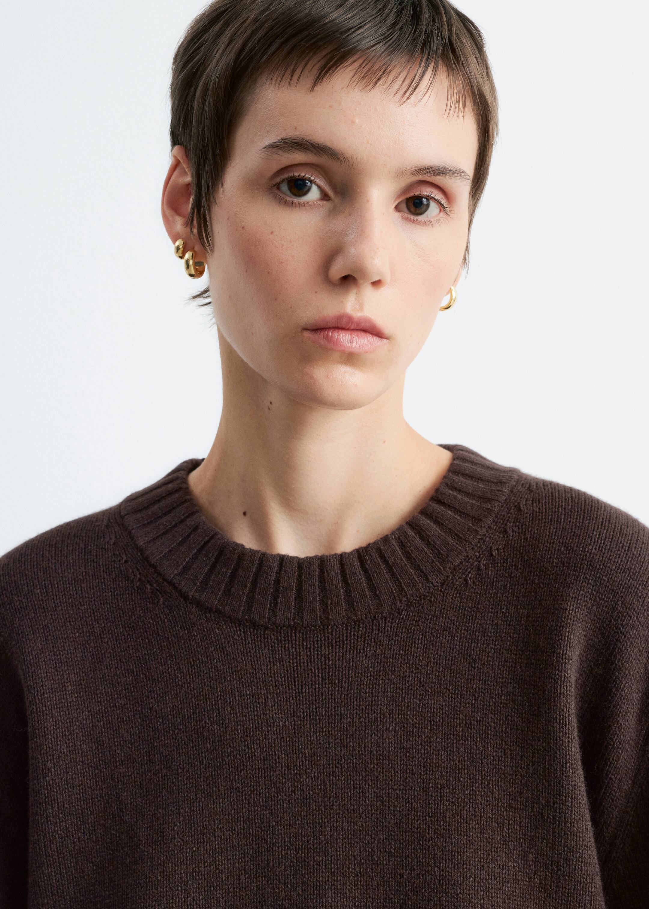 View larger image: A dark brown sweater featuring a ribbed crew neck is being worn by the model.