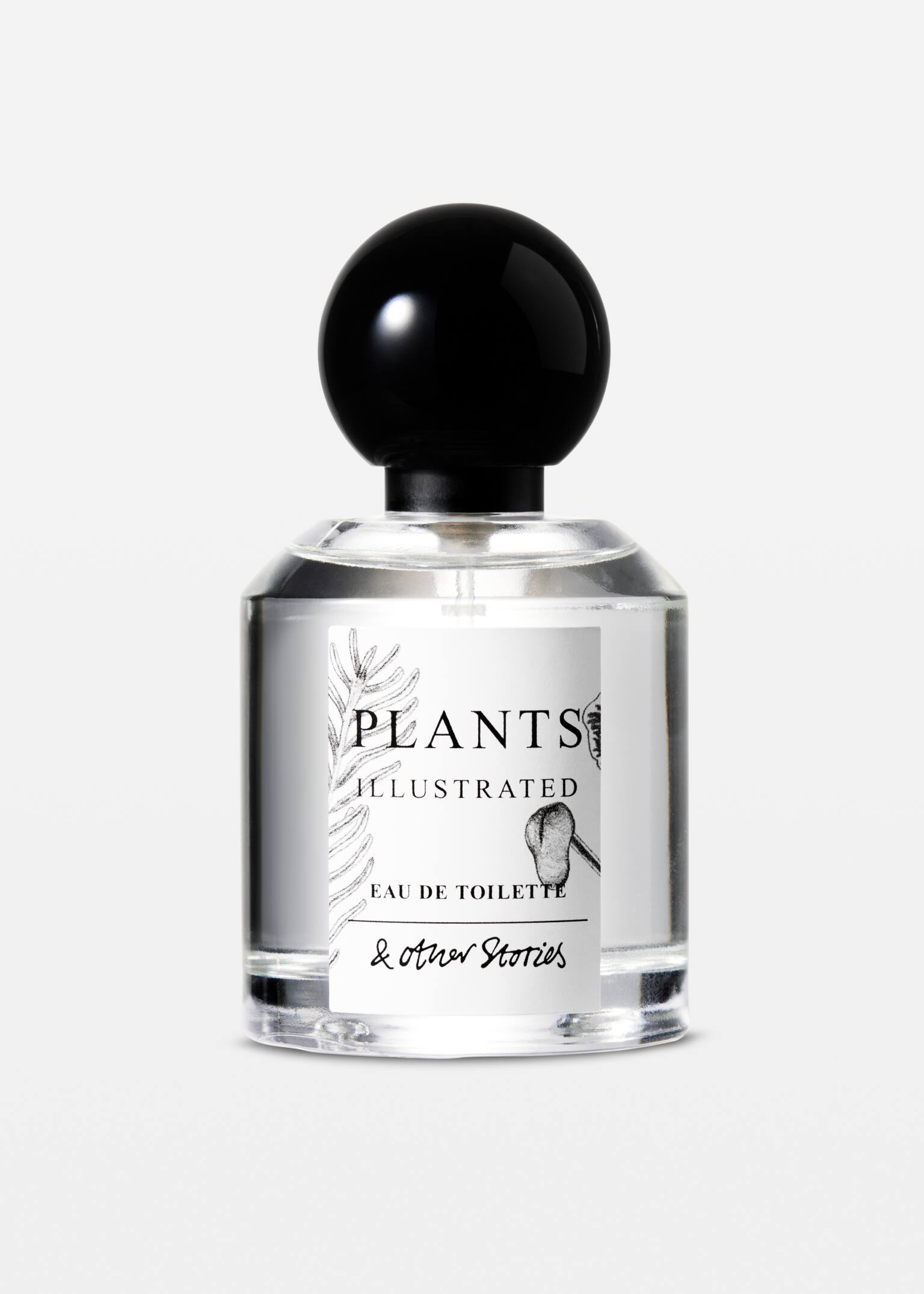 Eau de Toilette Collection - Plants Illustrated/Poem A Day - 1