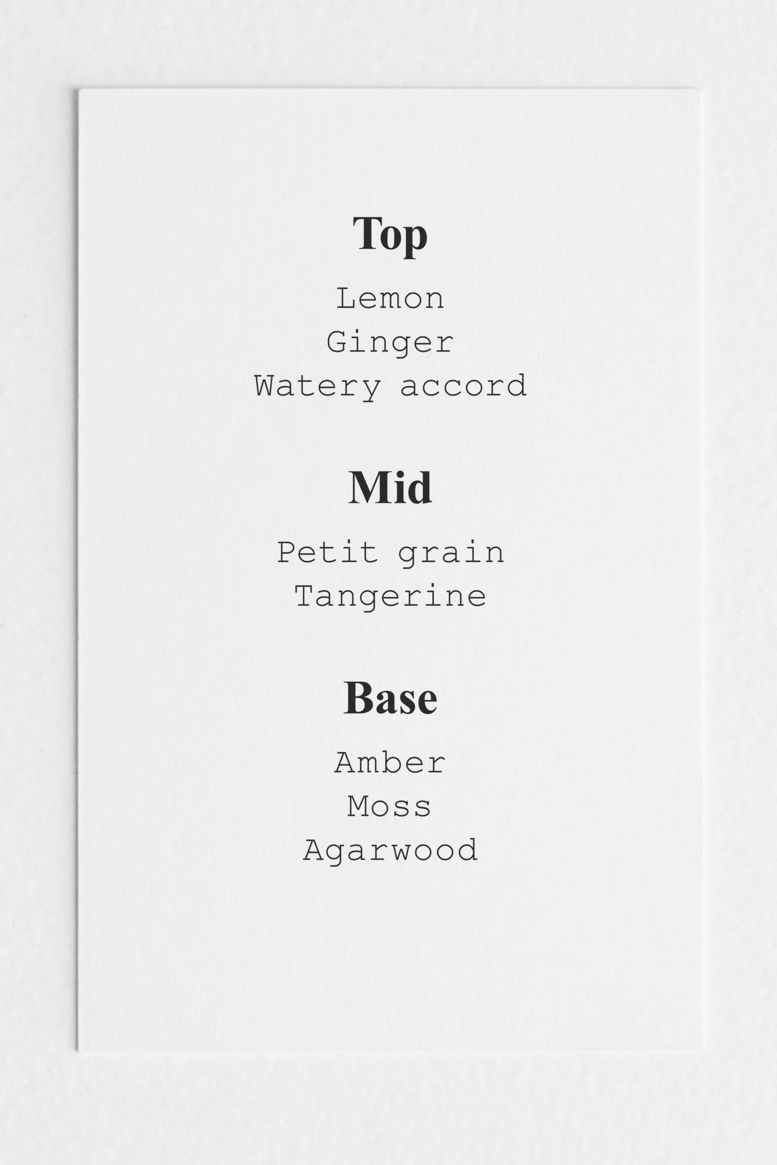 Handkräm - Arabesque Wood - 3