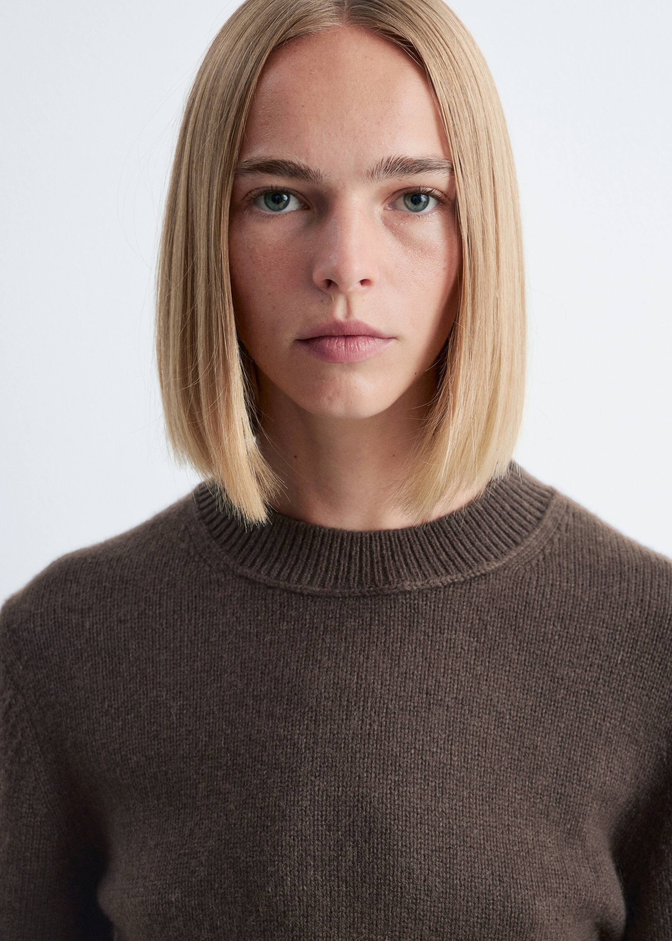 Agrandir l'image: Un pull tricoté brun avec un col rond côtelé est porté par le mannequin, qui regarde vers l'avant.