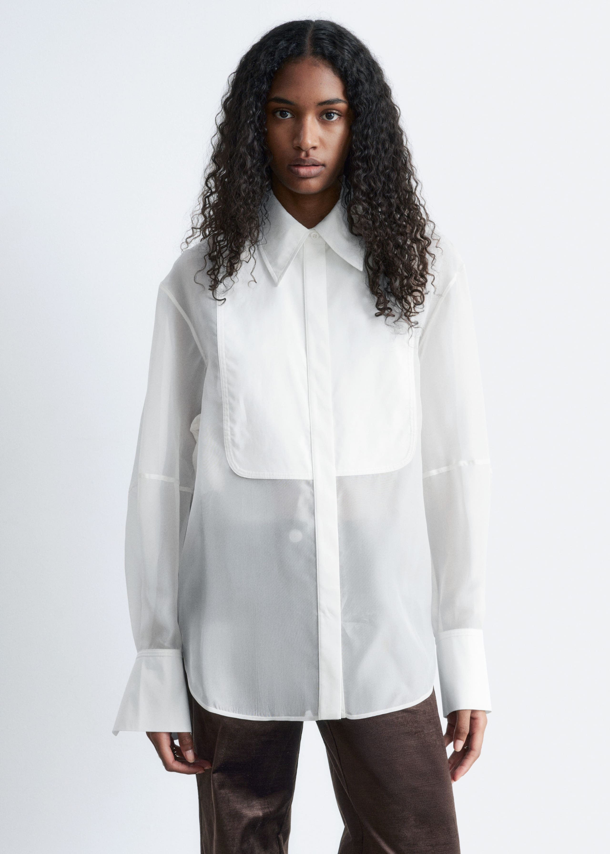 Image of Silk Dress Shirt