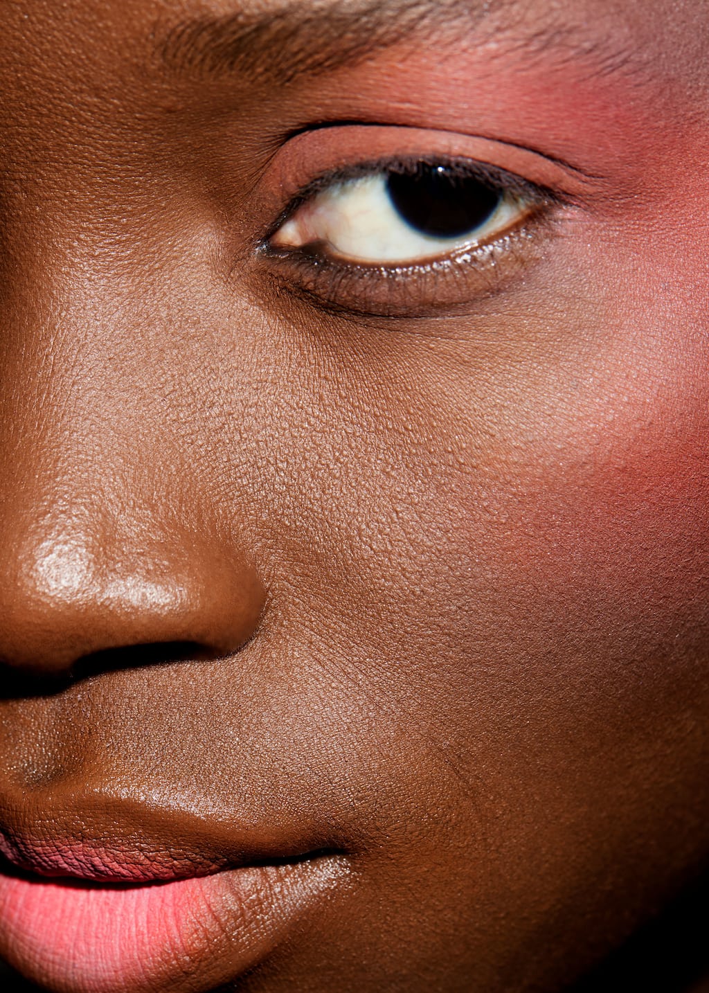 Image of Cheek & Lip