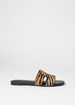 Brown Zebra