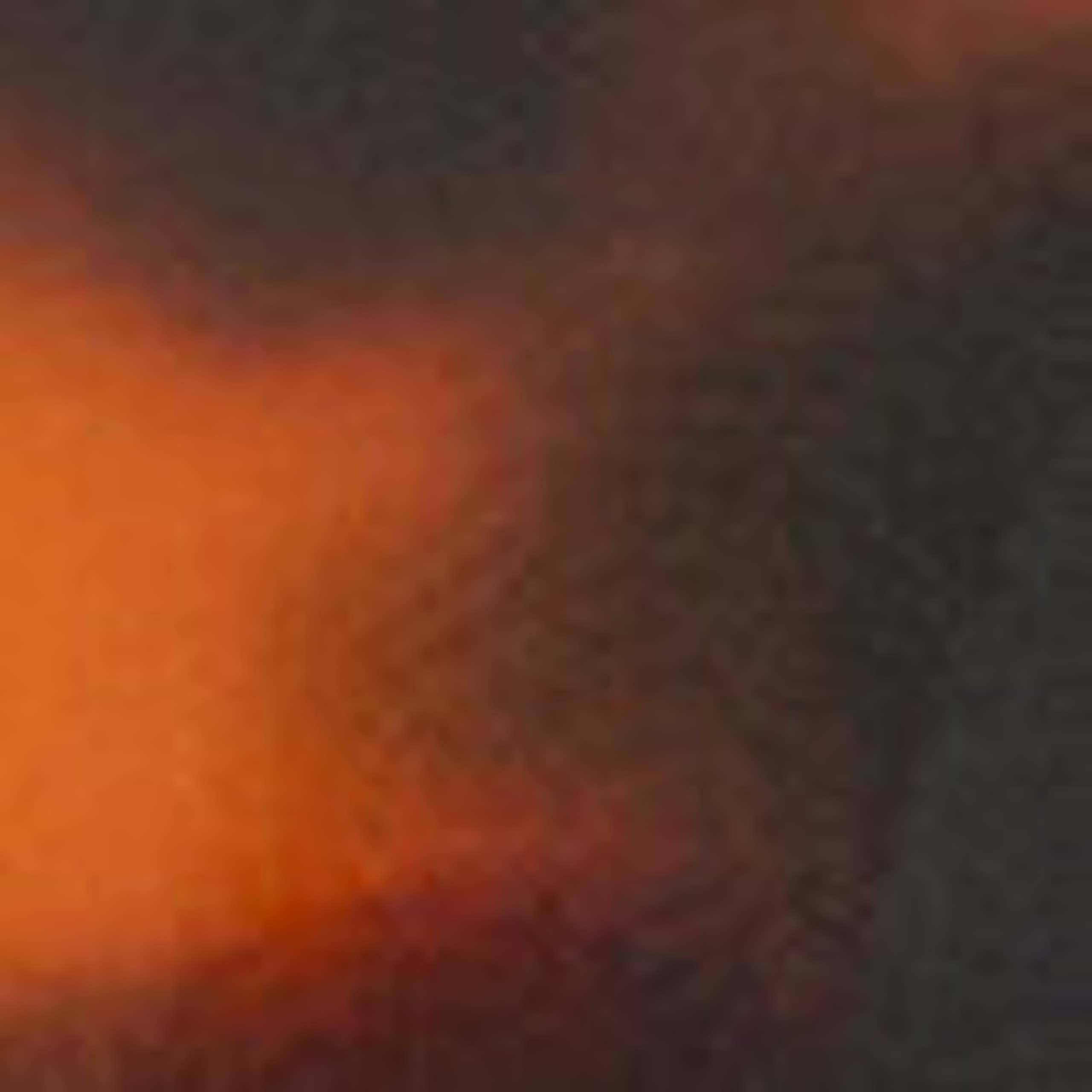 Image of Mini Tortoiseshell Hair Clip