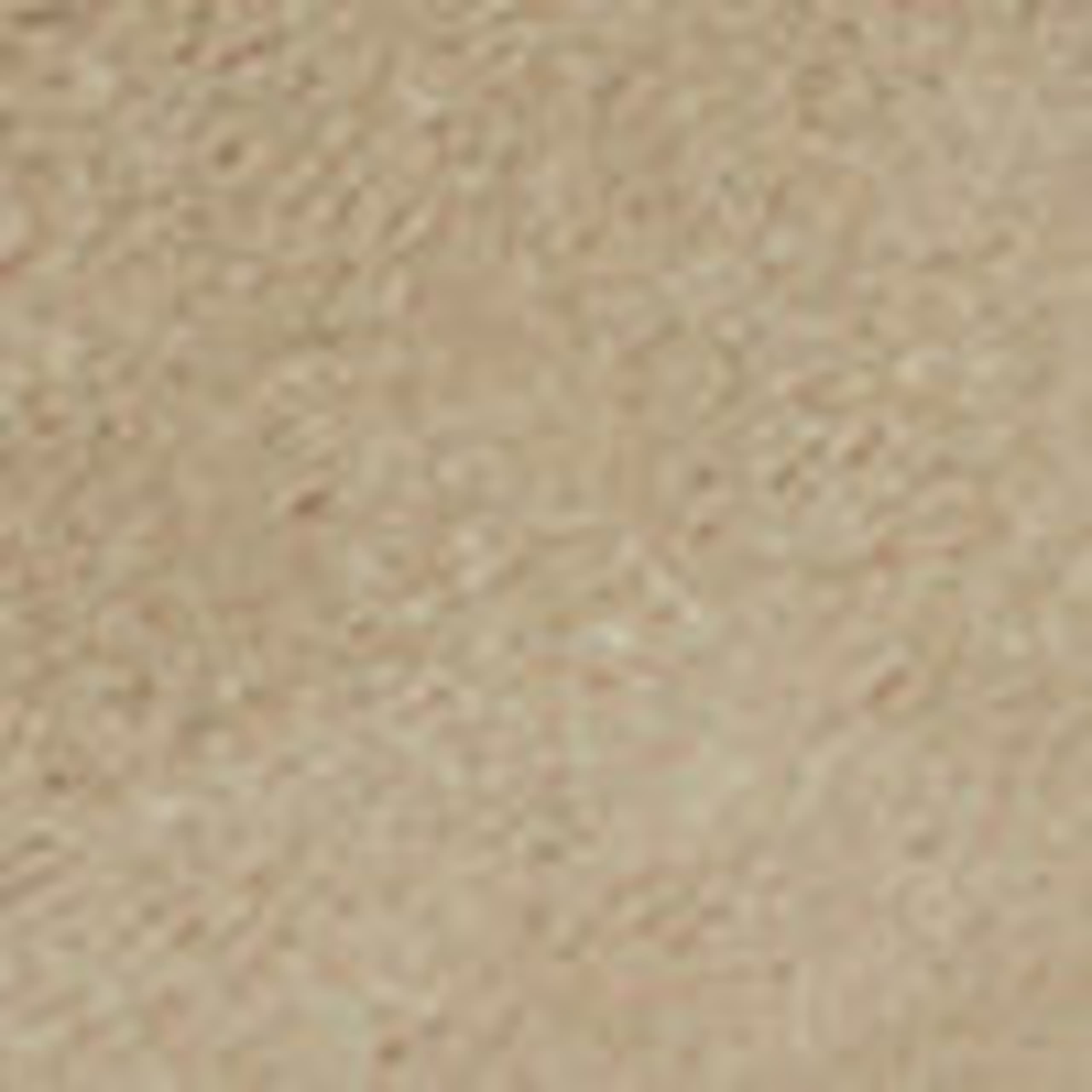 Image of Sabots Birkenstock Boston