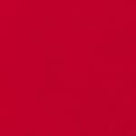 Amaryllis