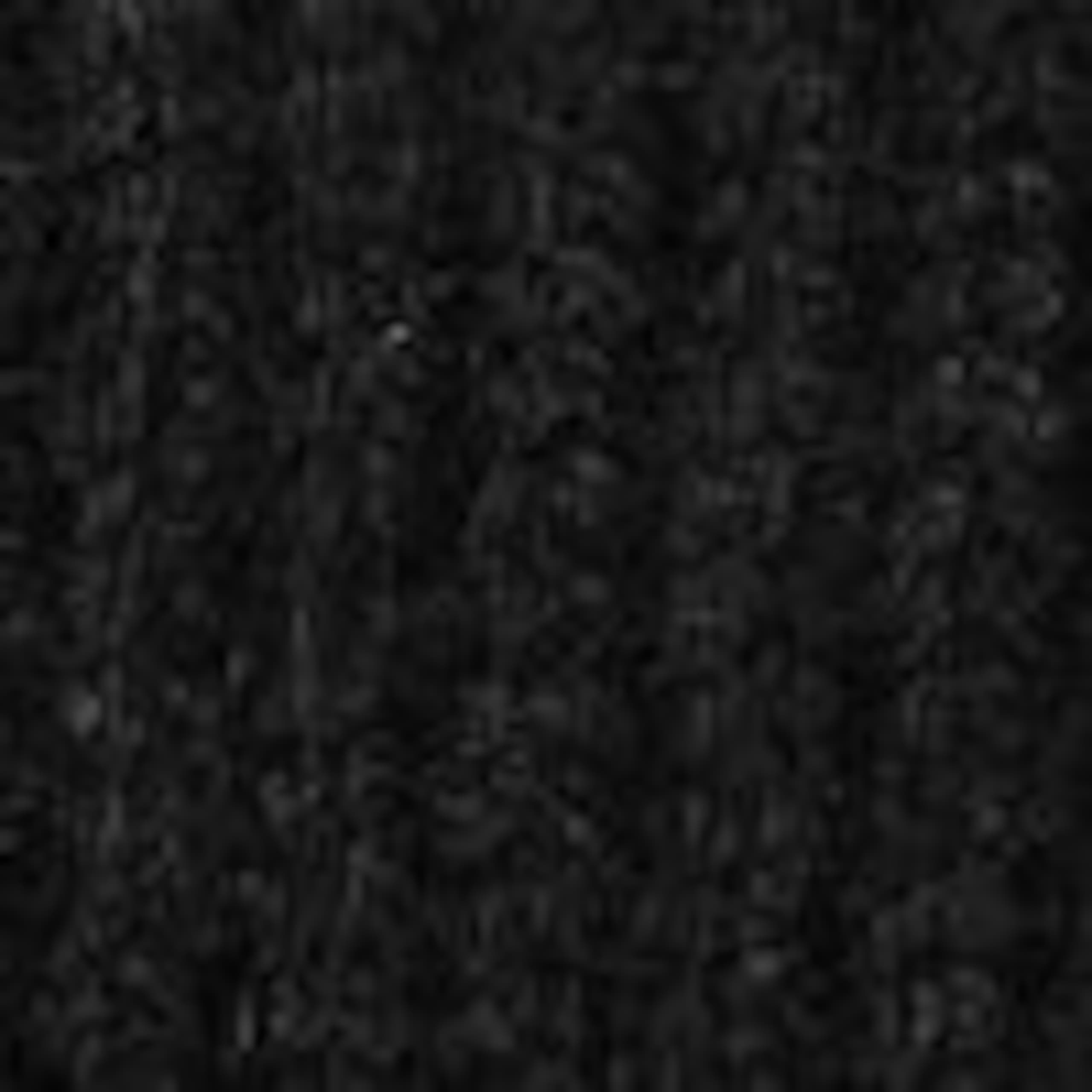 Image of Guanti in cashmere a coste