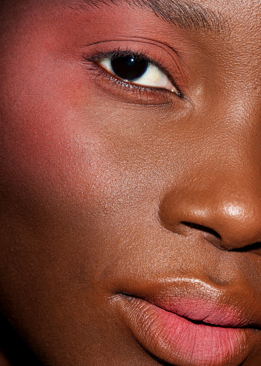 Image of Cheek & Lip