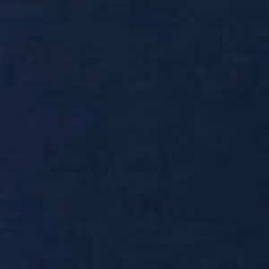 New Navy