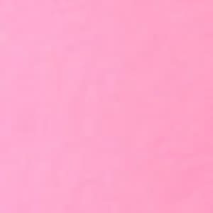 Fuzzy Flamingo