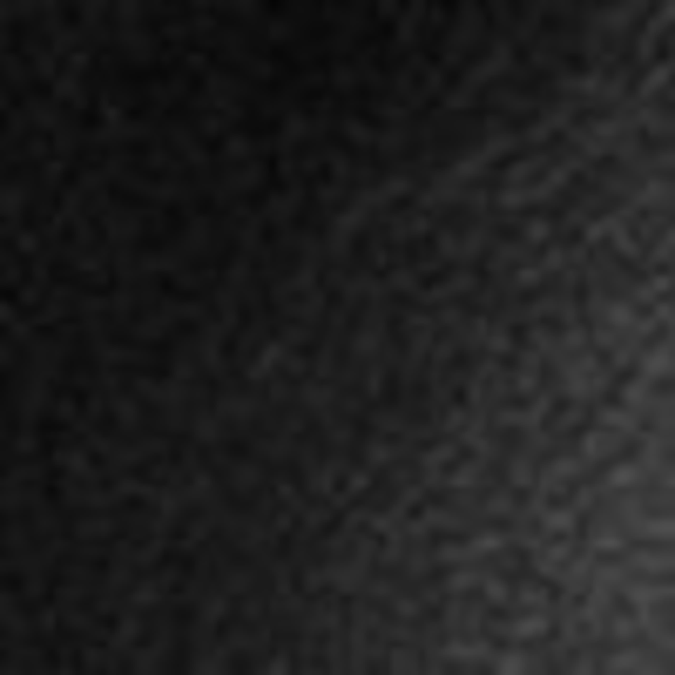 Image of Drawstring-Waist Leather Jacket