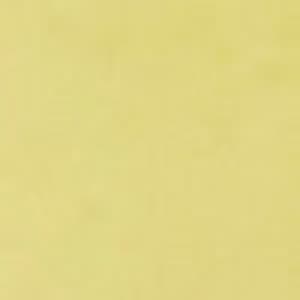 Lemon Little