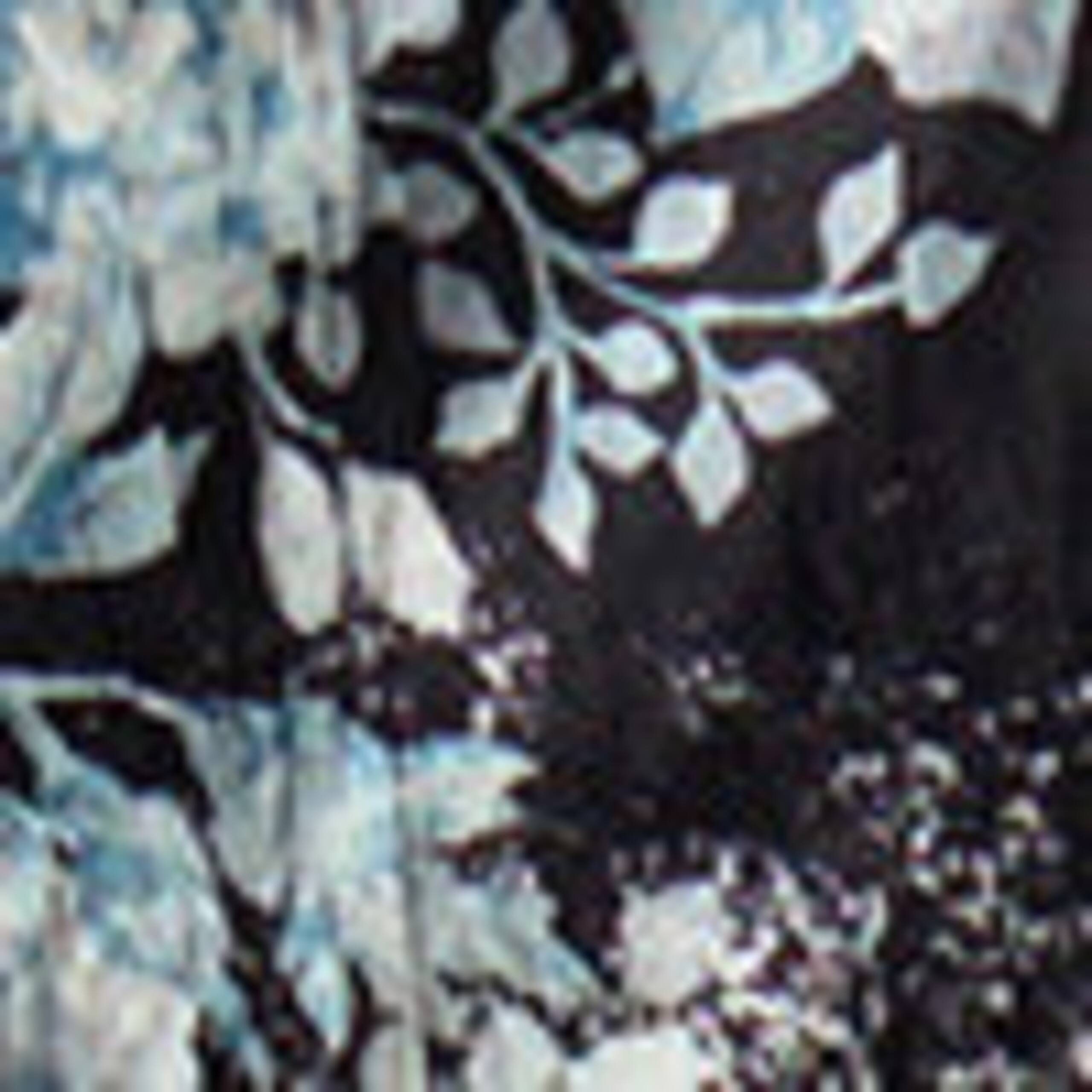 Image of Crêpe Midi Shirt Dress