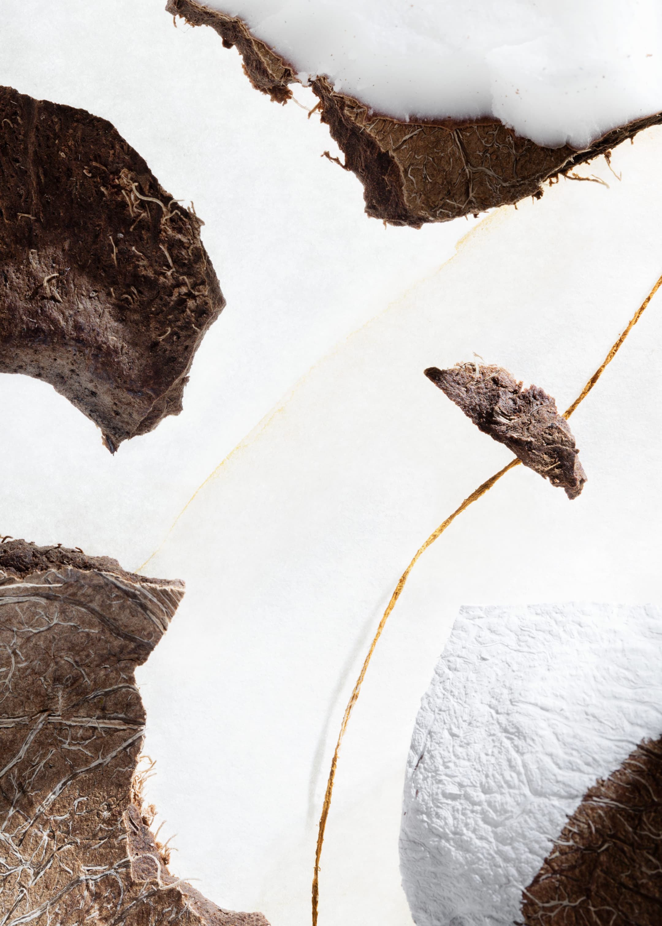 Visualizza immagine più grande: Crema mani - Perle de Coco - Beauty all | H&M IT 1