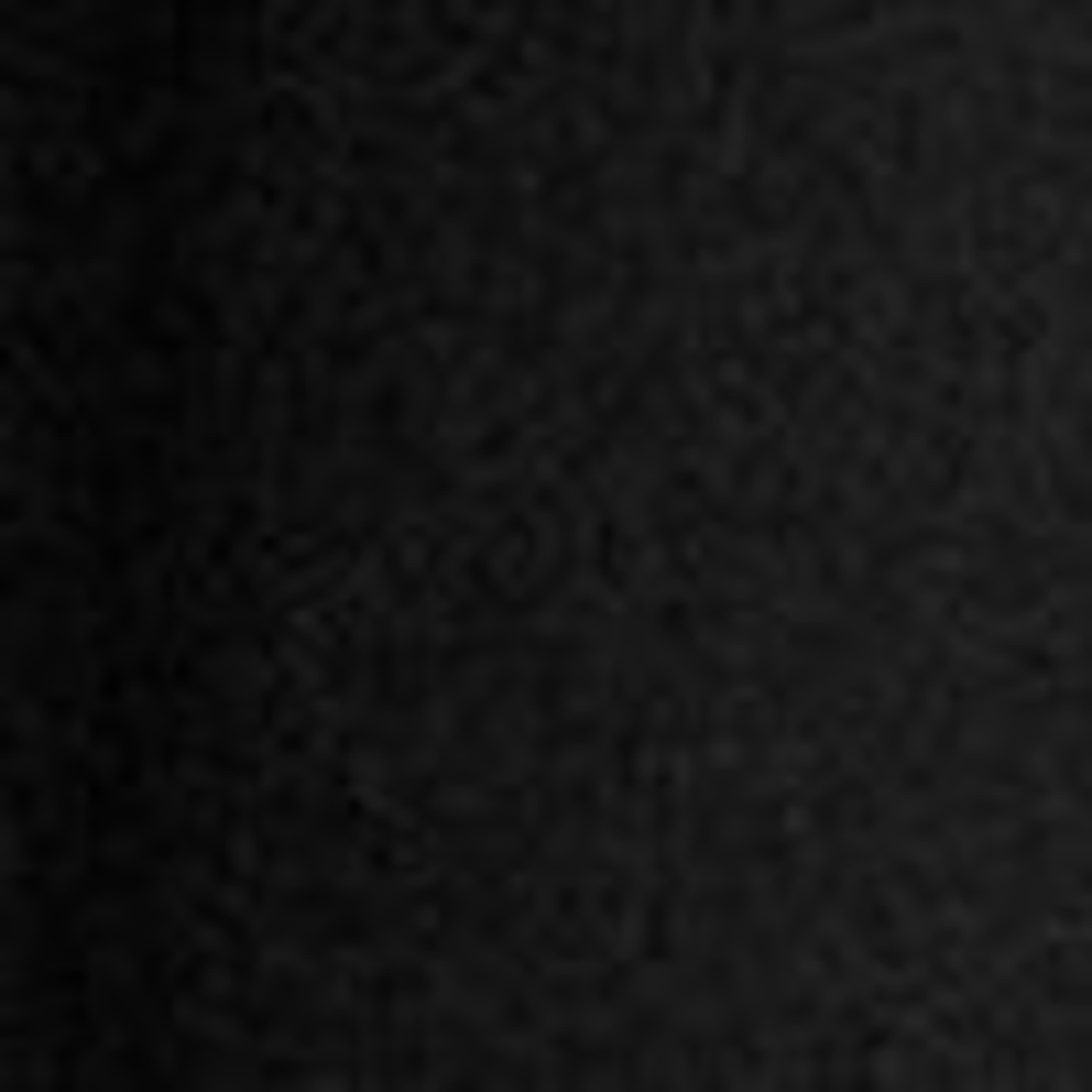 Image of Elastic Bubble Shorts