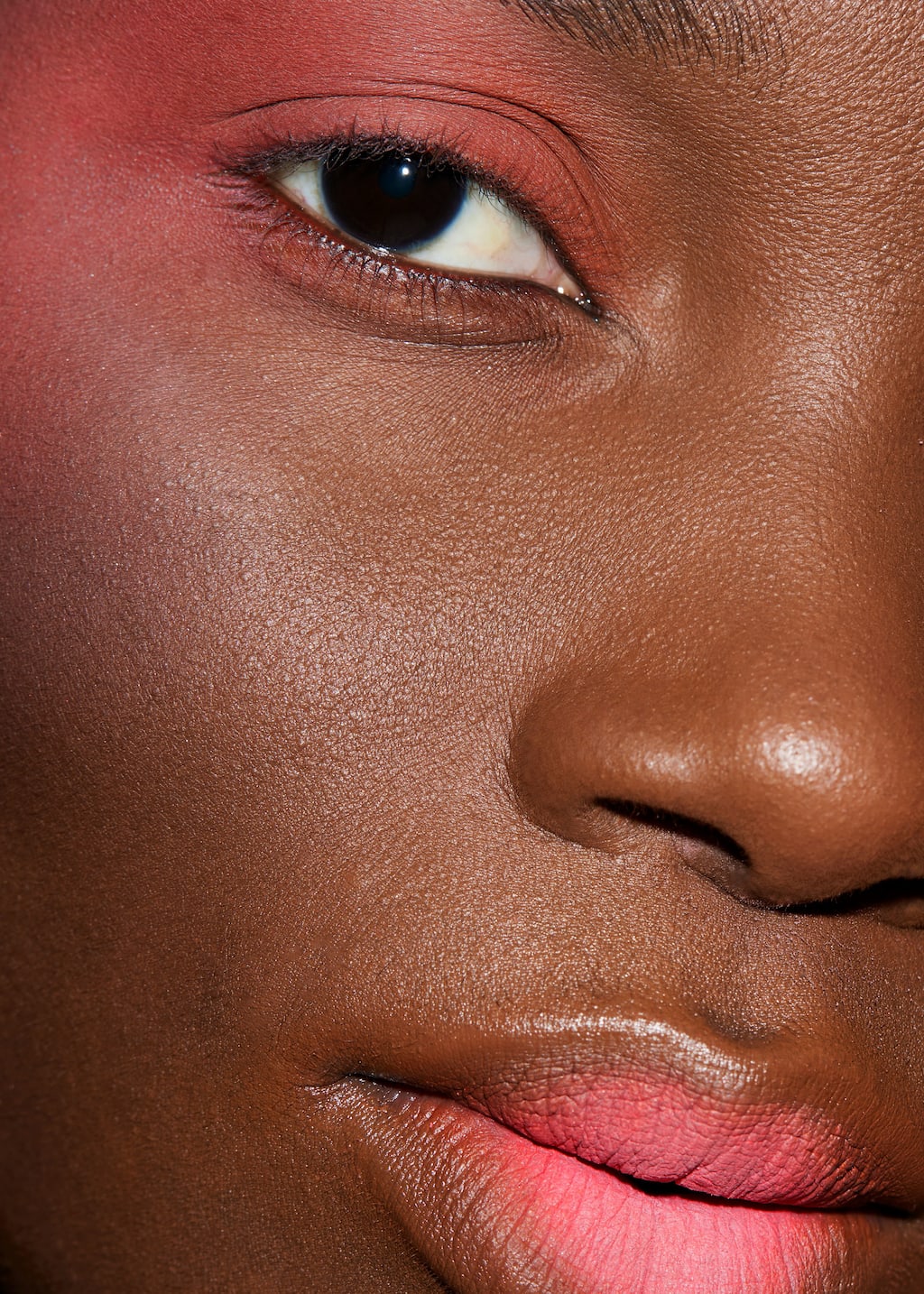 Image of Cheek & Lip
