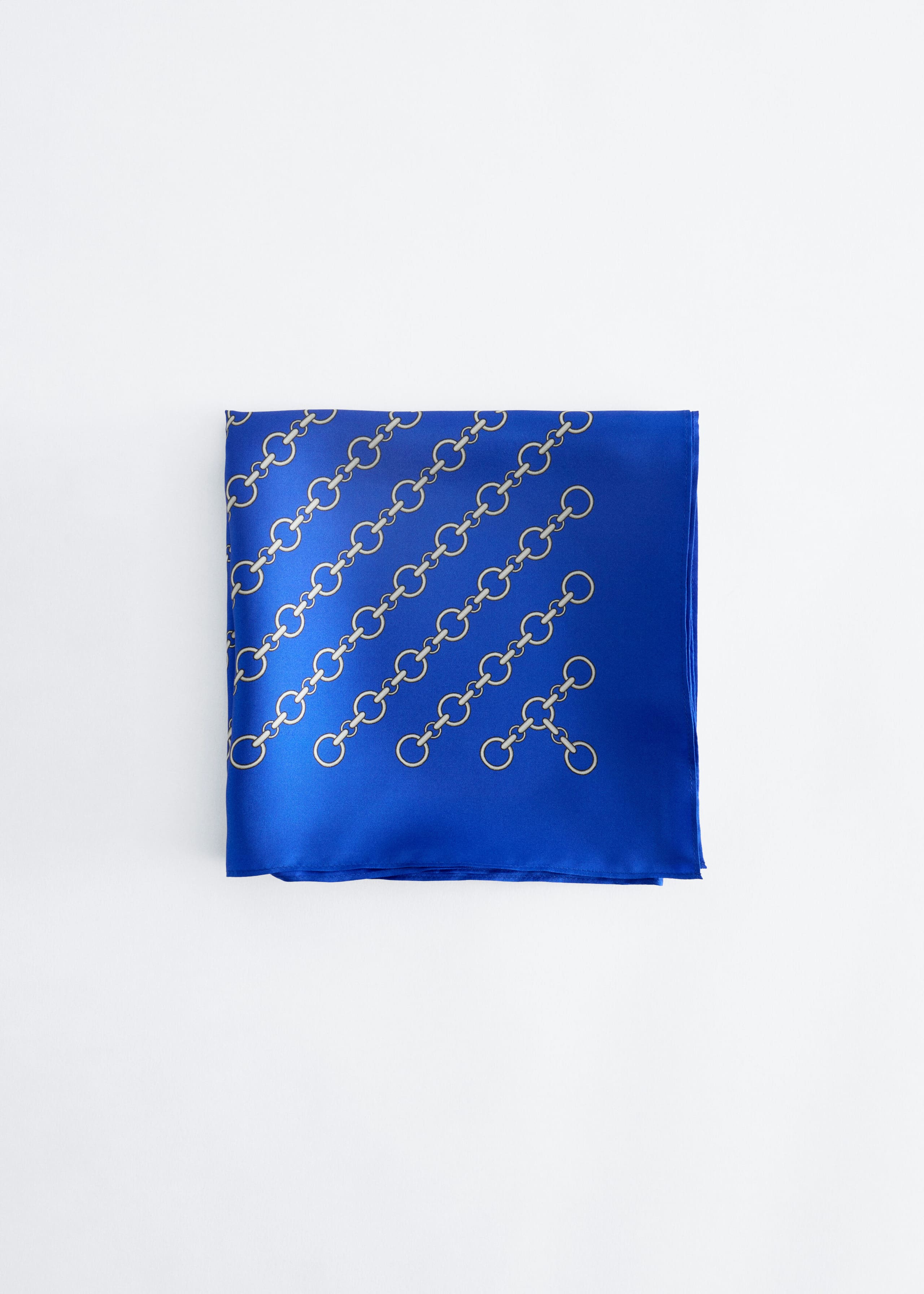 Printed Silk Scarf - Blue - Still Life