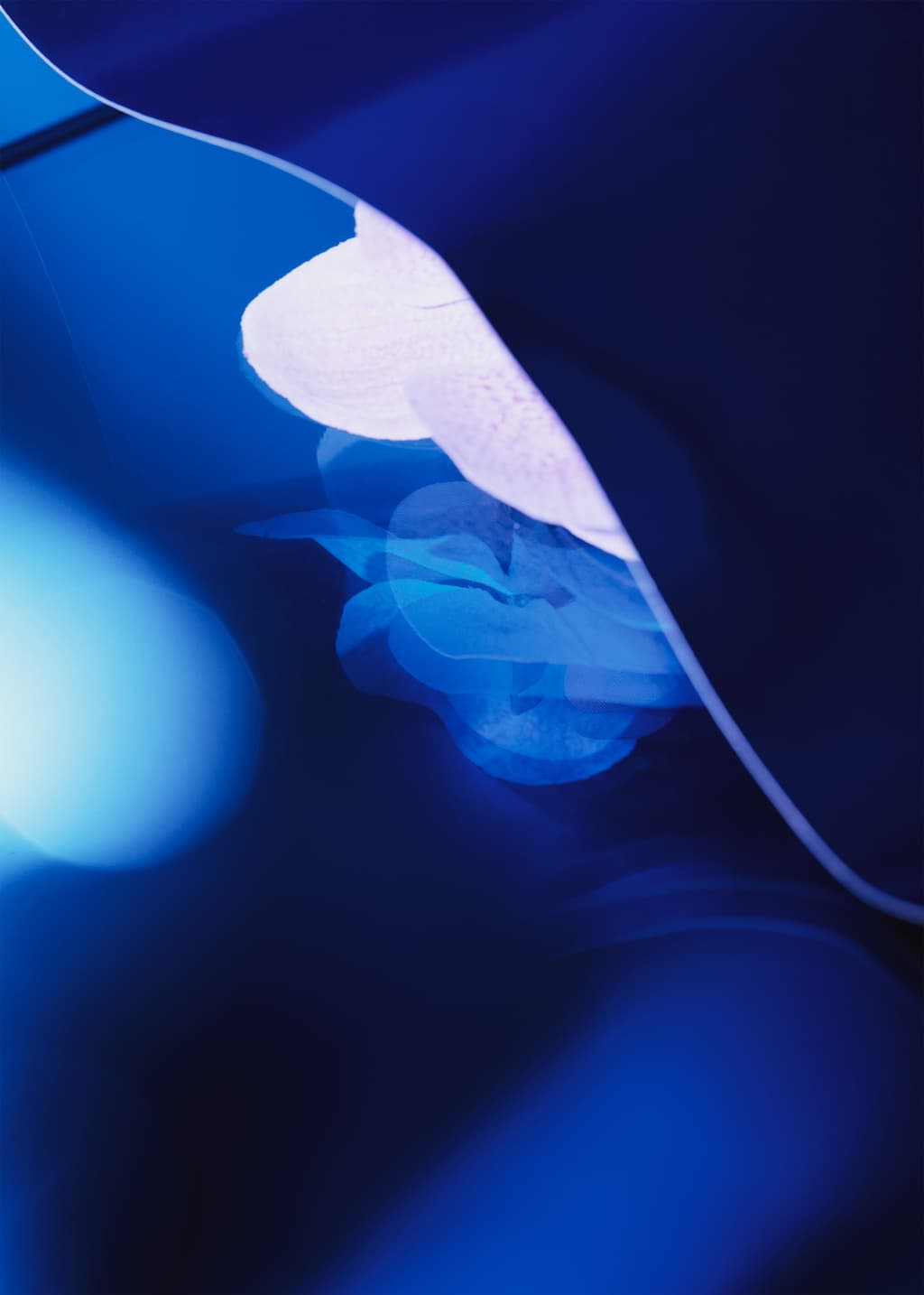 Image of Crema corpo