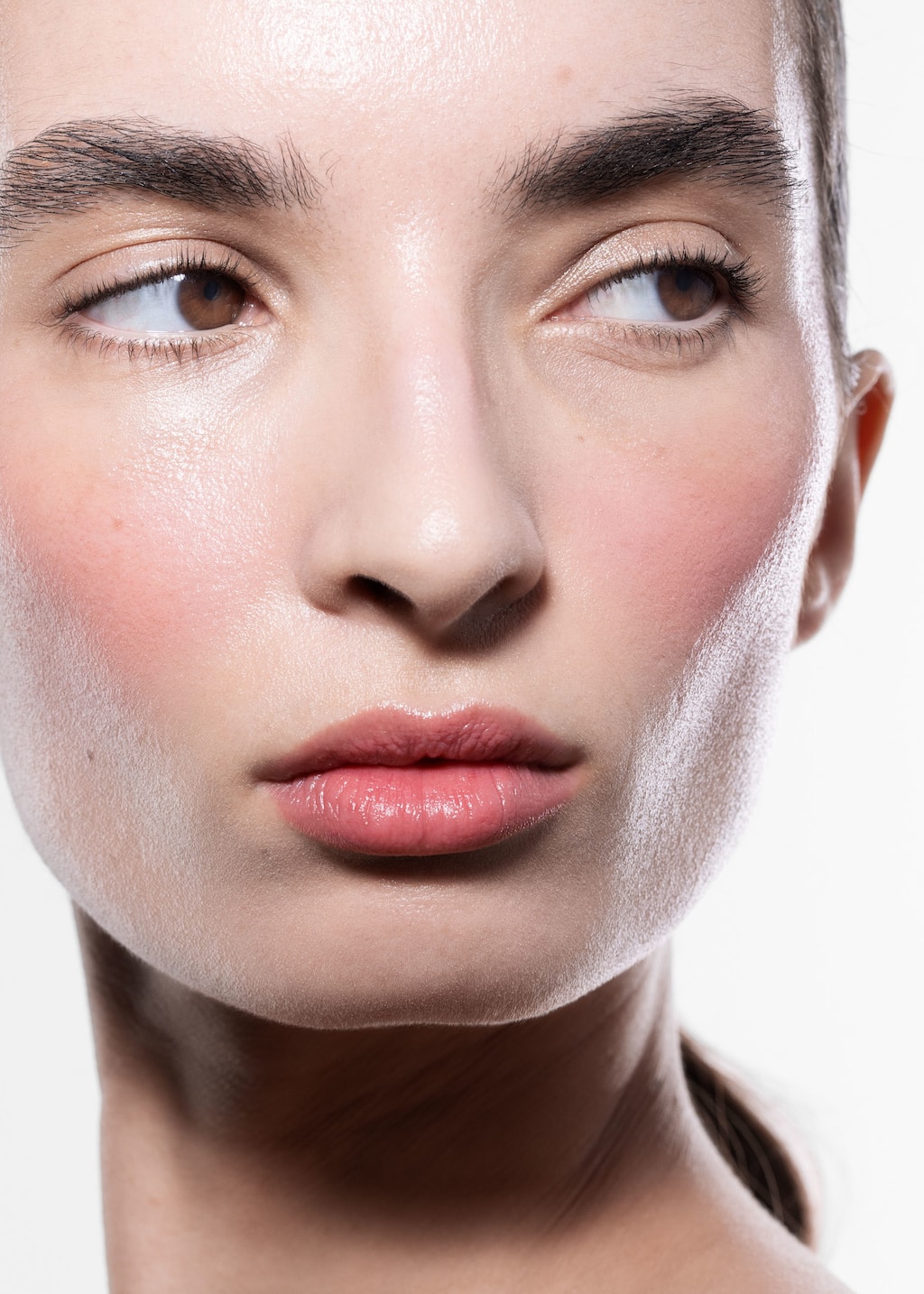 Image of Cheek & Lip