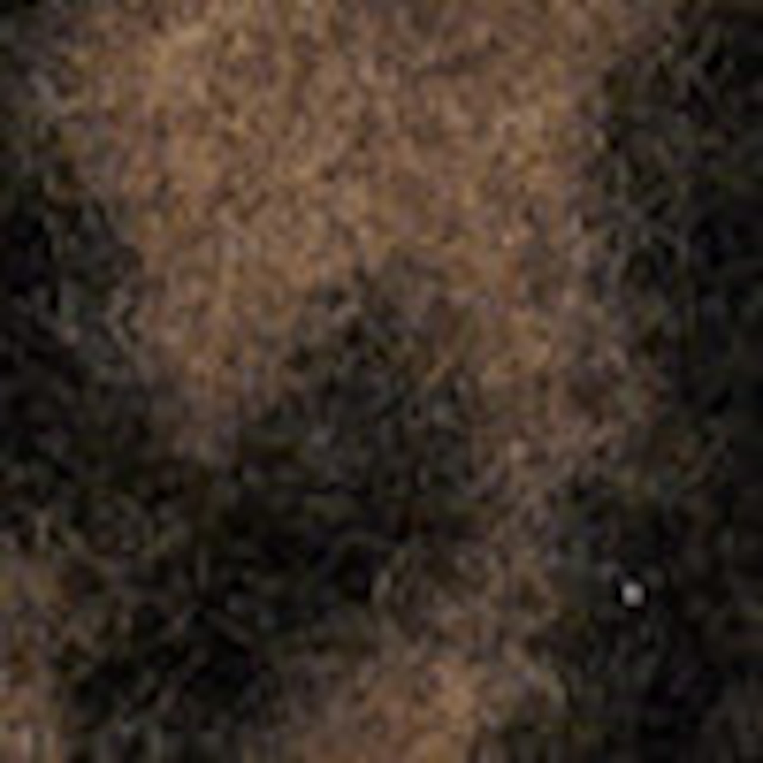 Image of Brushed Mohair-Blend Vest