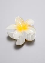 White/Yellow