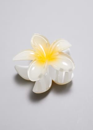 White/Yellow