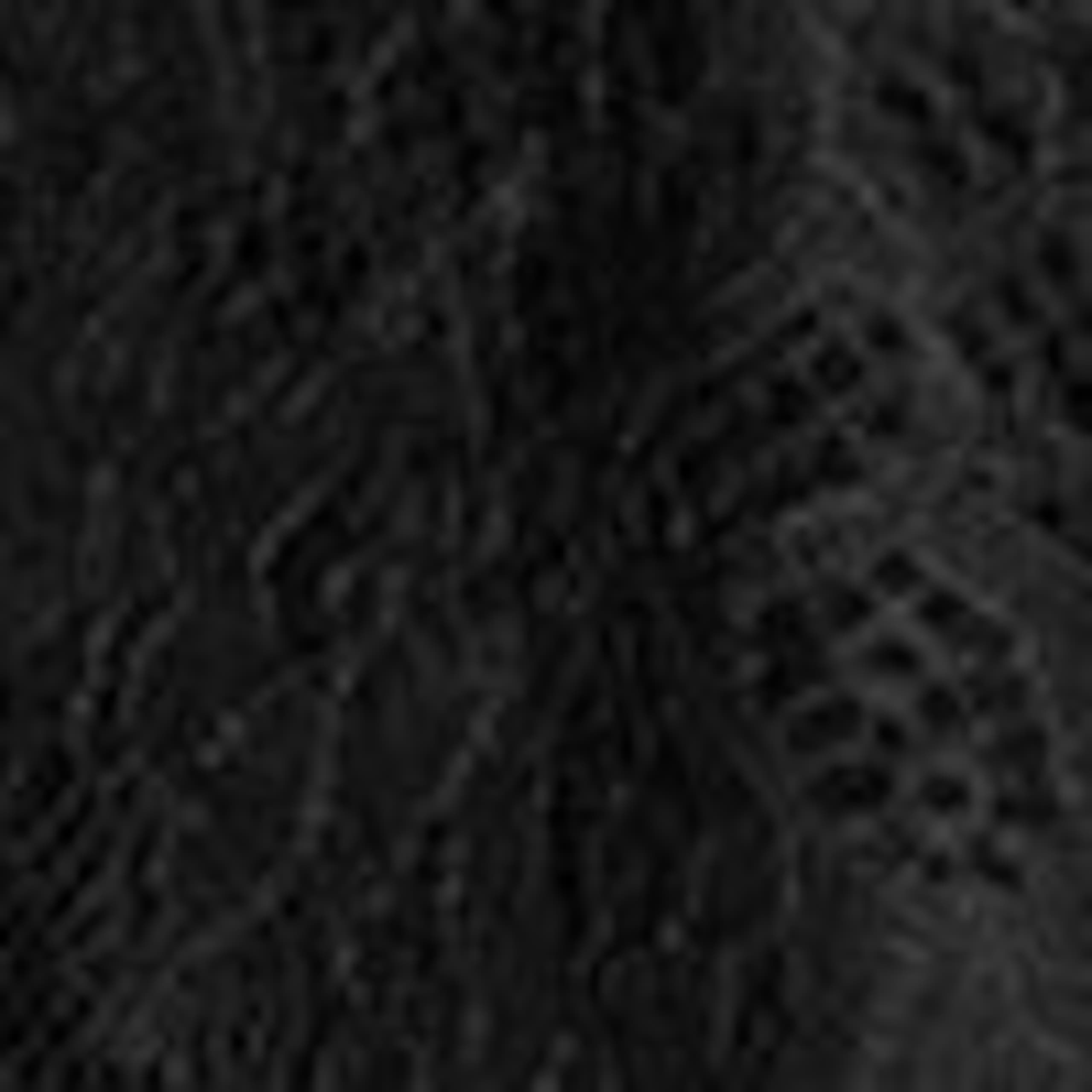 Image of Lace Frill Mini Dress