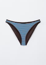 Brown/Blue Stripes