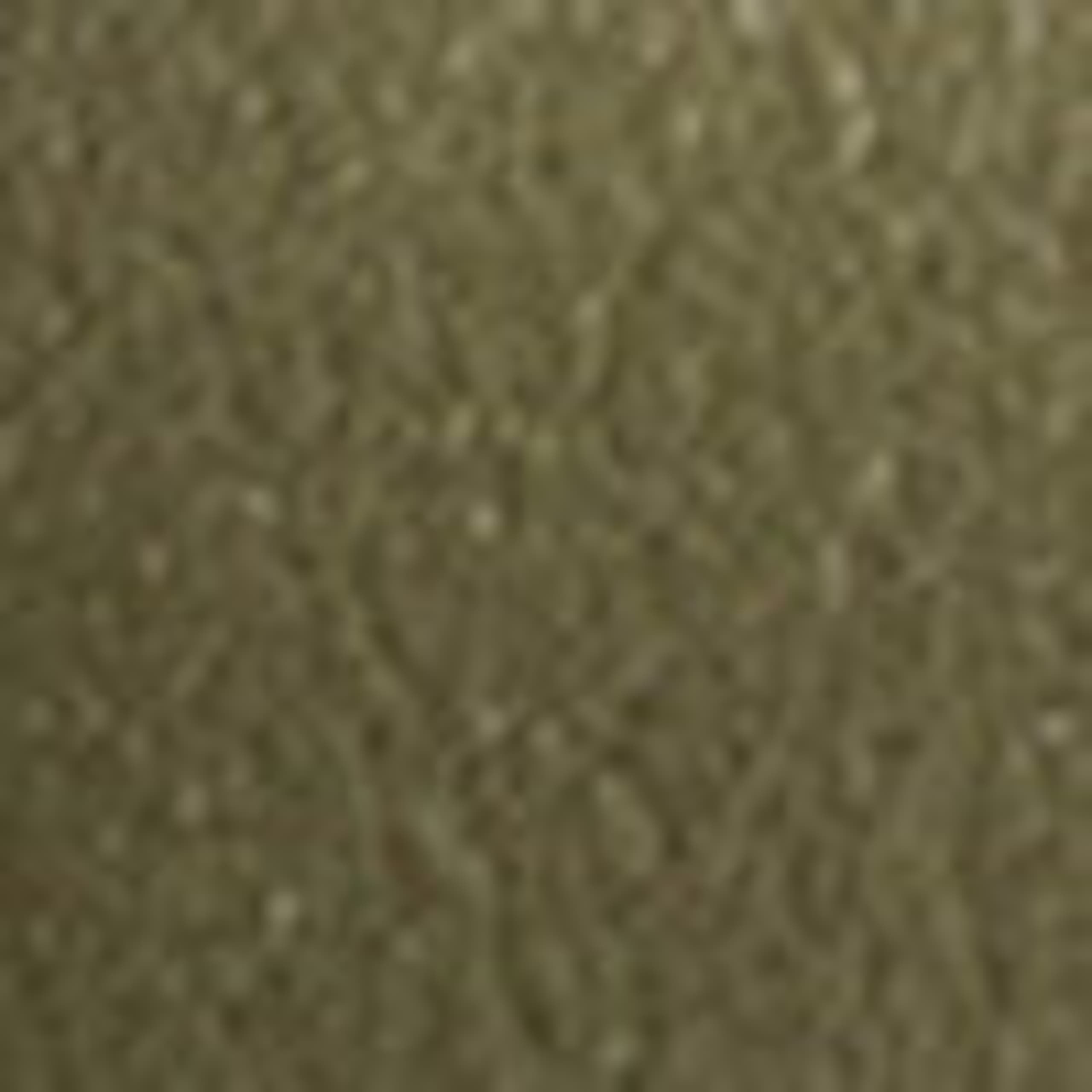 Image of Leather Kitten Heels