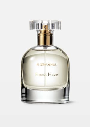 Forest Haze