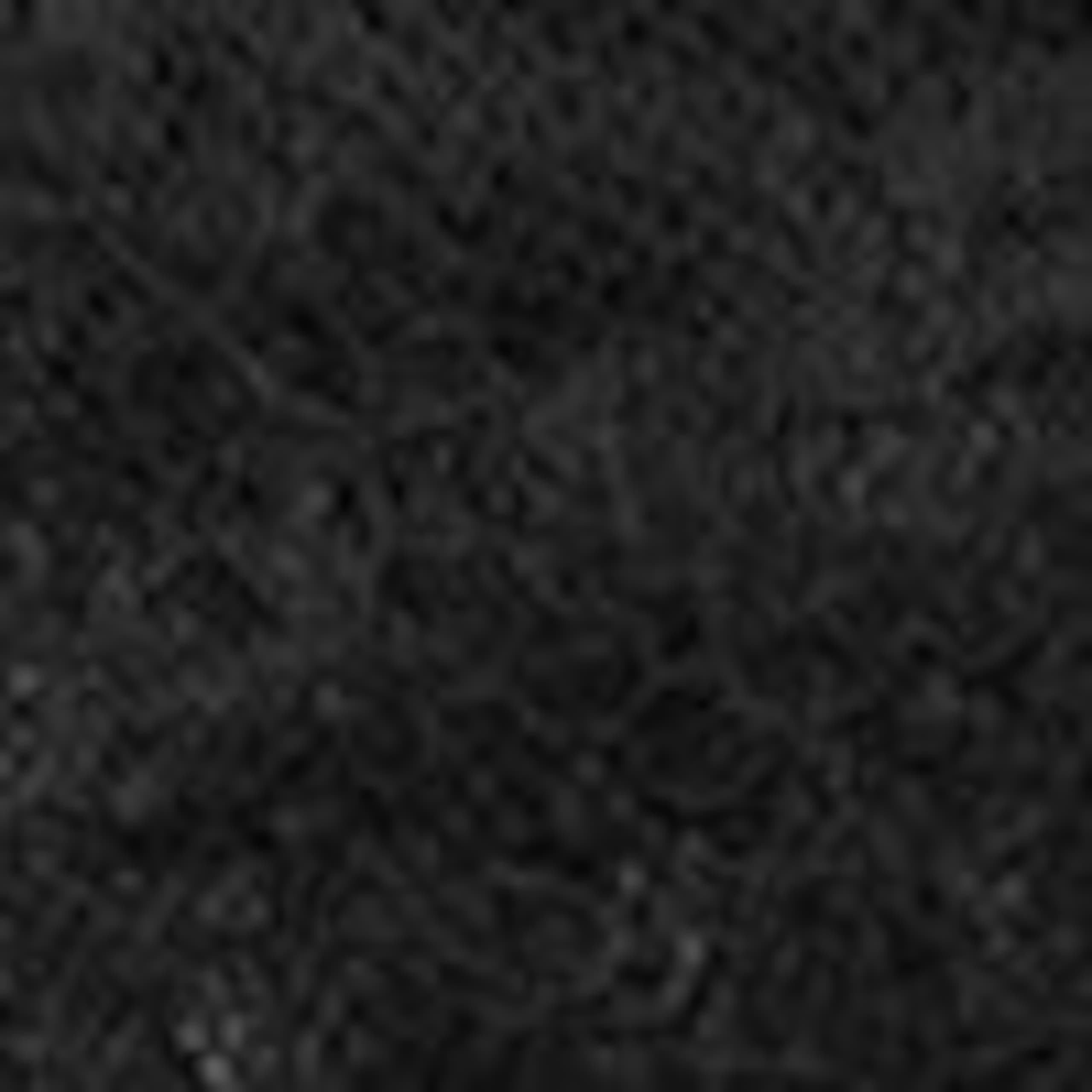 Image of Tapered Lace Shirt