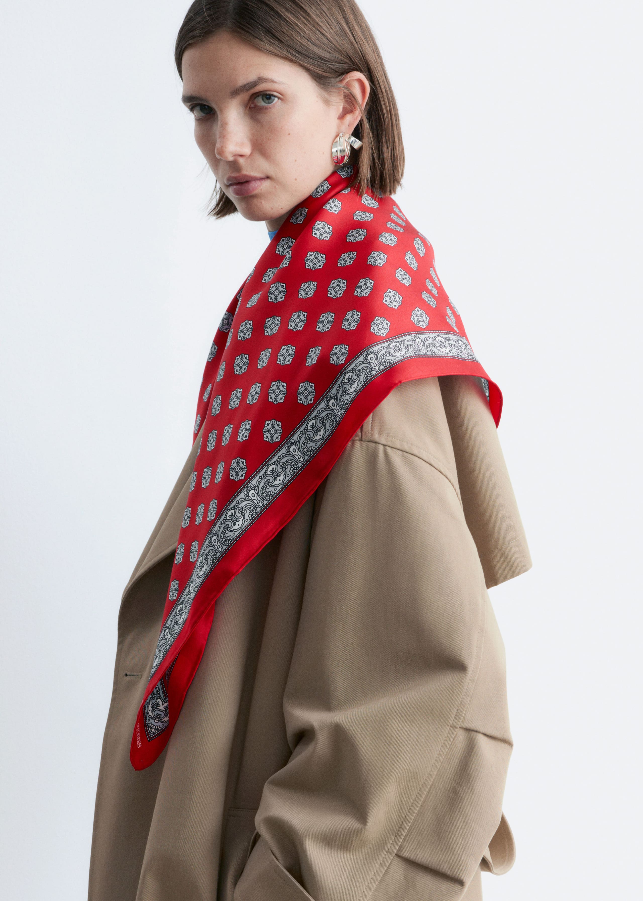 Image of Printed Silk Scarf