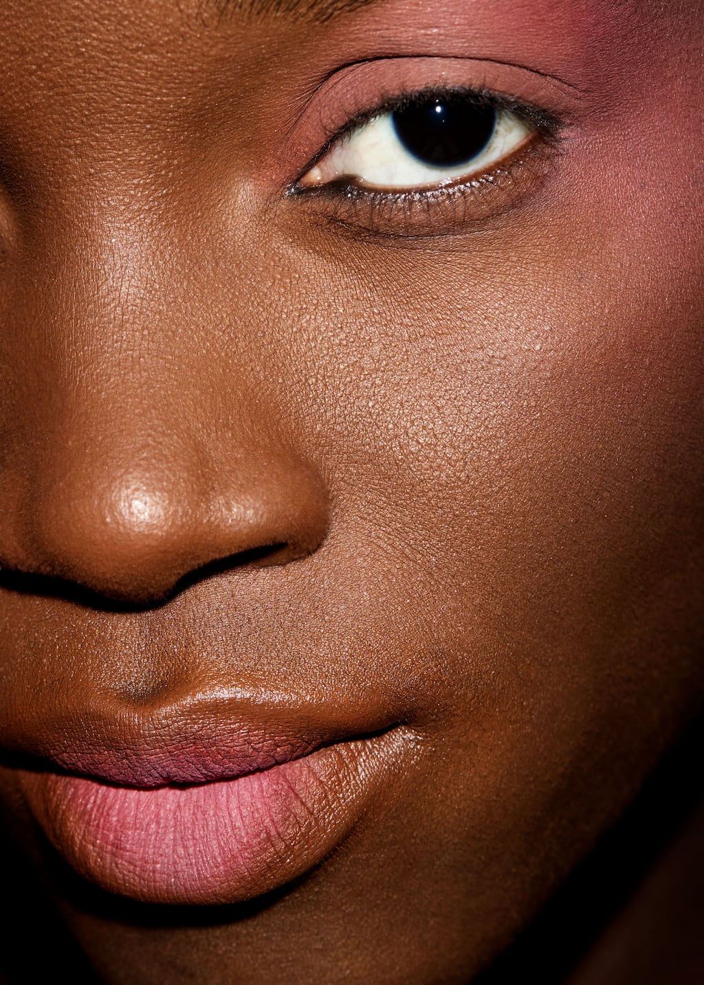 Image of Cheek & Lip