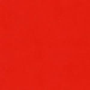 Bright Tomato