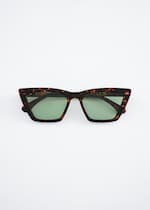 Tortoise Brown