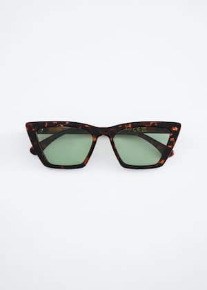 Tortoise Brown