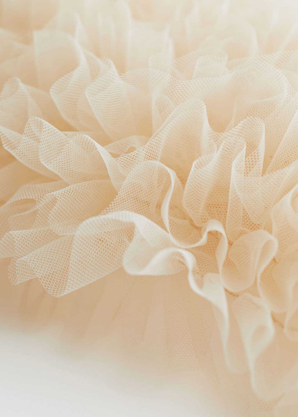 Ruffled Cropped Top - {{variantName}} - Descriptive Detail