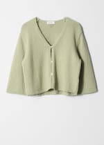 Pistachio Green