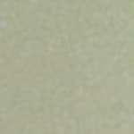 Lune Olive